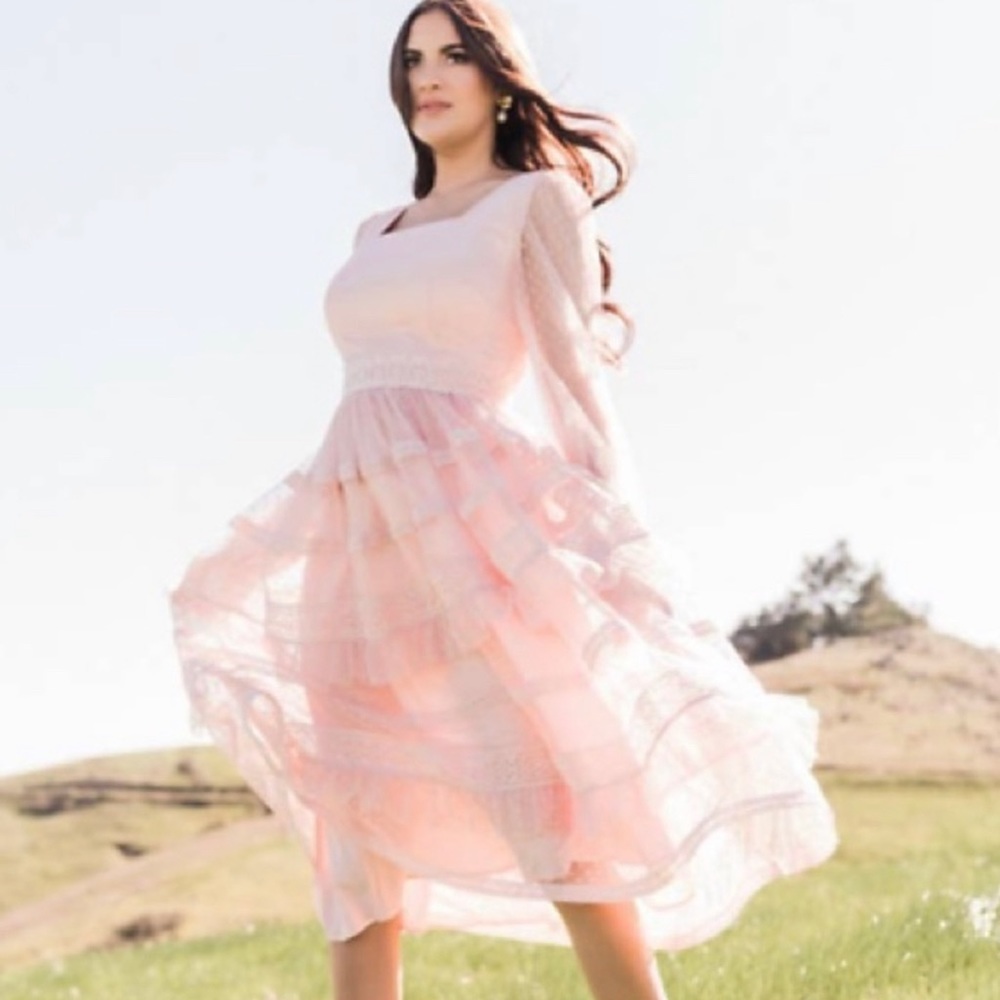 RARE Stunning Rachel Parcell Pink Tulle Lace dress